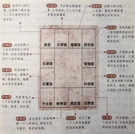 天魁入命宮|解读紫微斗数中的天魁在命宫的意义及影响力